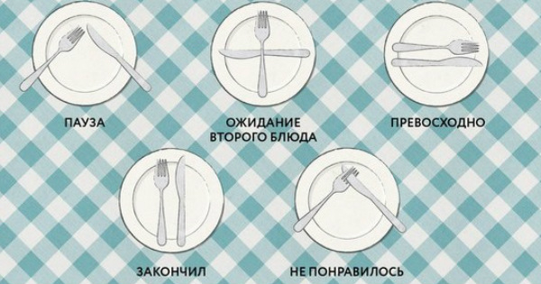 10 правил этикета для воспитанного человека 10 правил этикета для воспитанного человека