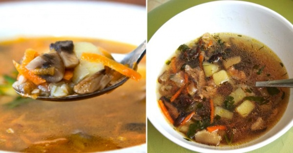 Грибные супы из шампиньонов — самые вкусные рецепты Грибные супы из шампиньонов — самые вкусные рецепты
