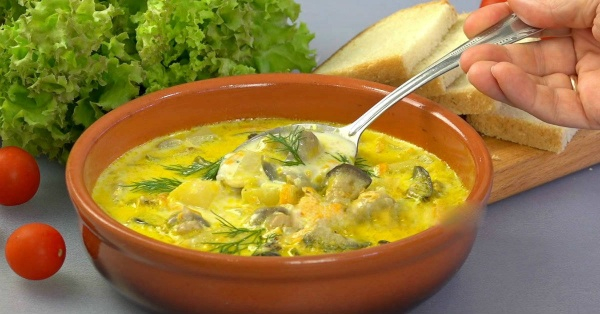 Грибные супы из шампиньонов — самые вкусные рецепты