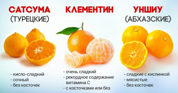 Блюда из мандаринов — подборка вкусных рецептов