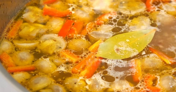 Грибные супы из шампиньонов — самые вкусные рецепты